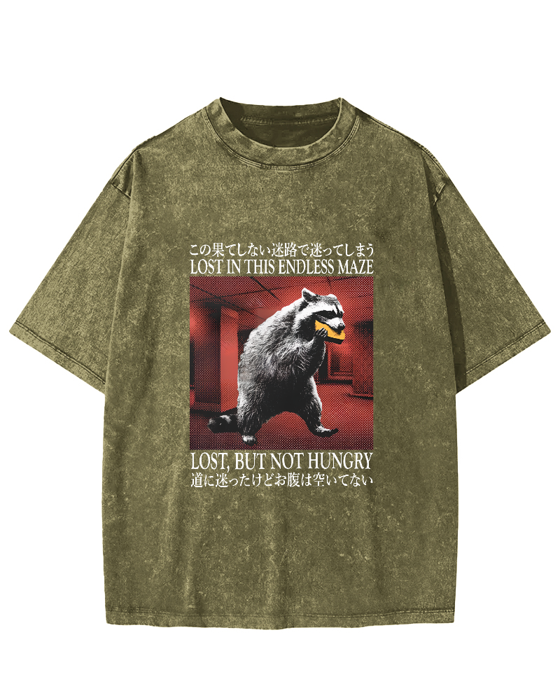 Retro Raccoon Pattern Japanese Style Vintage Distressed T-shirt-Zazasy