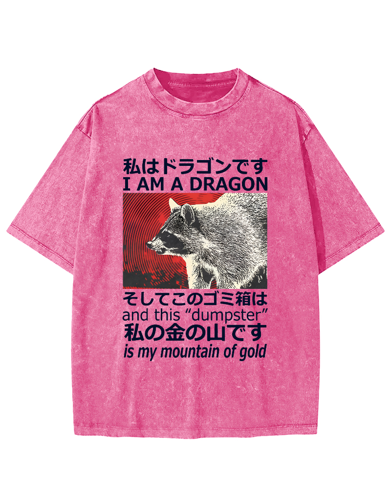 Dragon Raccoon Japanese Vintage Washed T-shirt-Zazasy