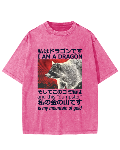 Dragon Raccoon Japanese Vintage Washed T-shirt-Zazasy