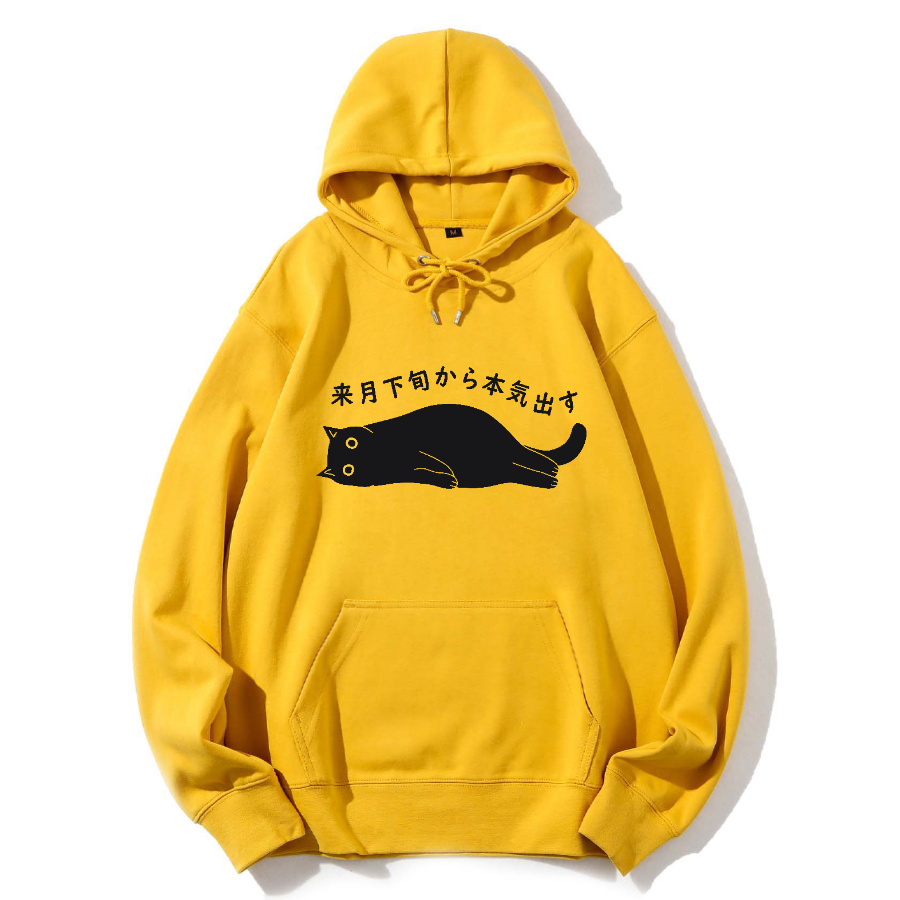 I will start taking it seriously next month Cotton Hoodie