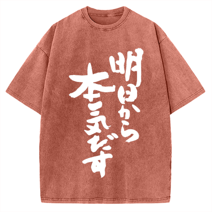 I'll get serious from tomorrow Japanese Vintage Washed T-shirt