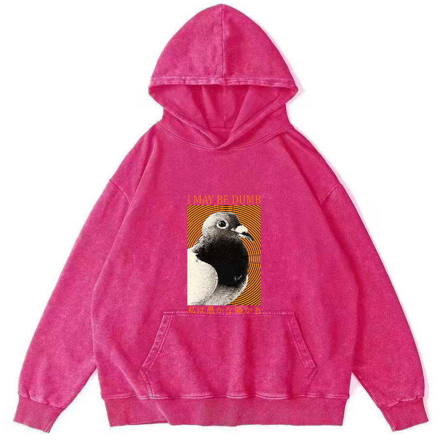 I May Be Dumb Pigeon Washed Hoodie-Zazasy