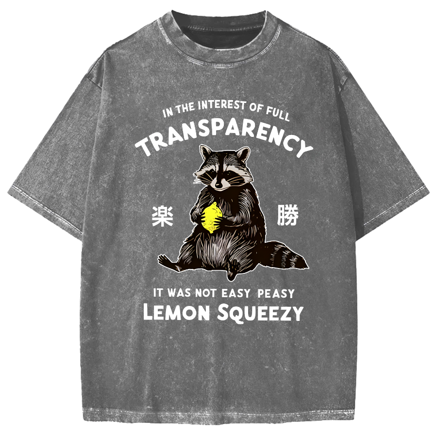 Raccoon Holding A Lemon Vintage Washed T-shirt