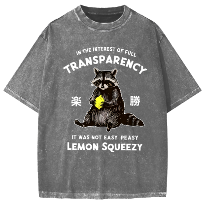 Raccoon Holding A Lemon Vintage Washed T-shirt