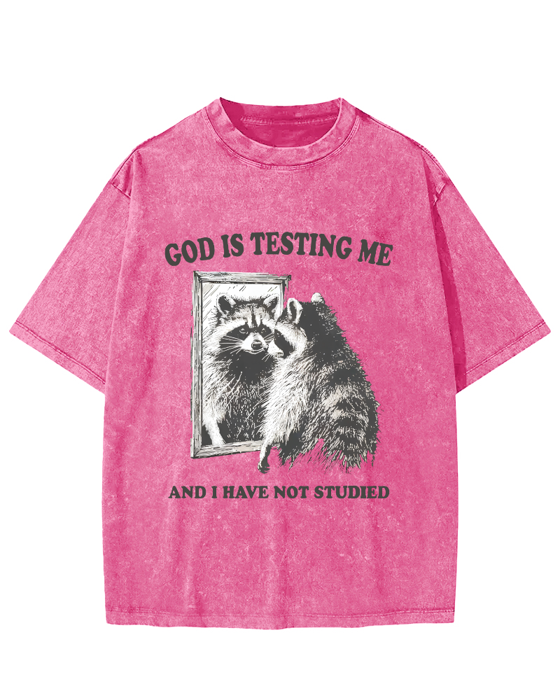 God Is Testing Me Vintage Washed T-shirt-Zazasy