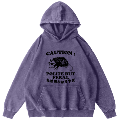 Mouse Pattern Japanese Style Vintage Distressed Hoodie-Zazasy