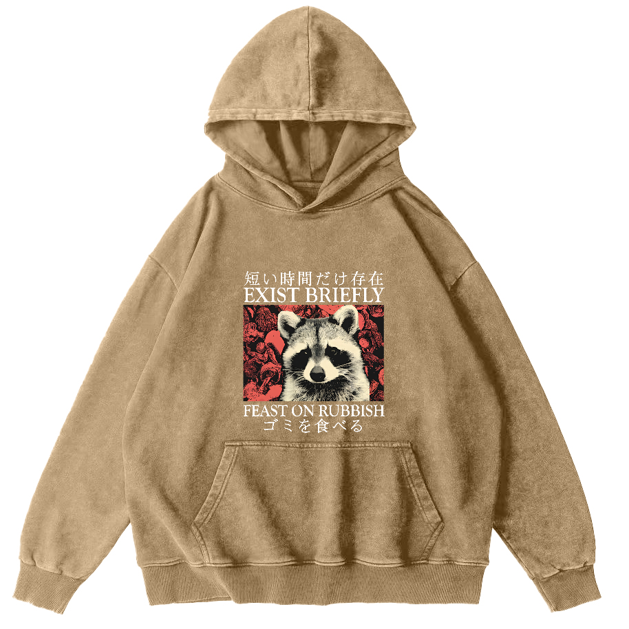 Retro Raccoon Pattern Japanese Style Vintage Distressed Hoodie-Zazasy