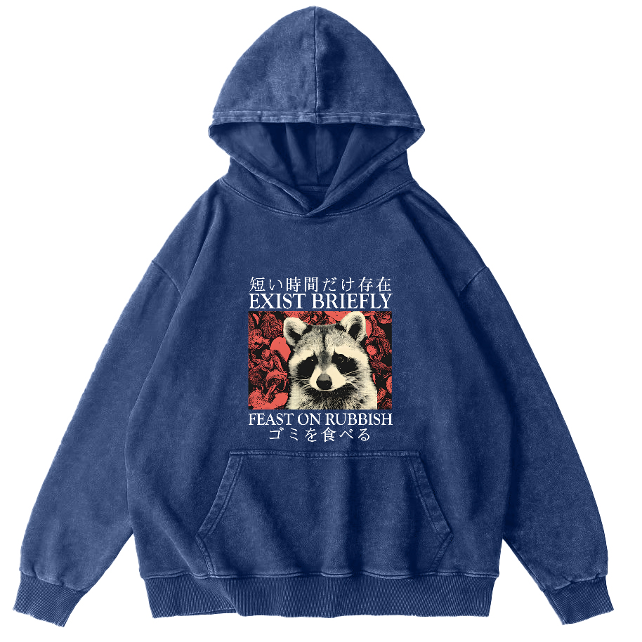 Retro Raccoon Pattern Japanese Style Vintage Distressed Hoodie-Zazasy