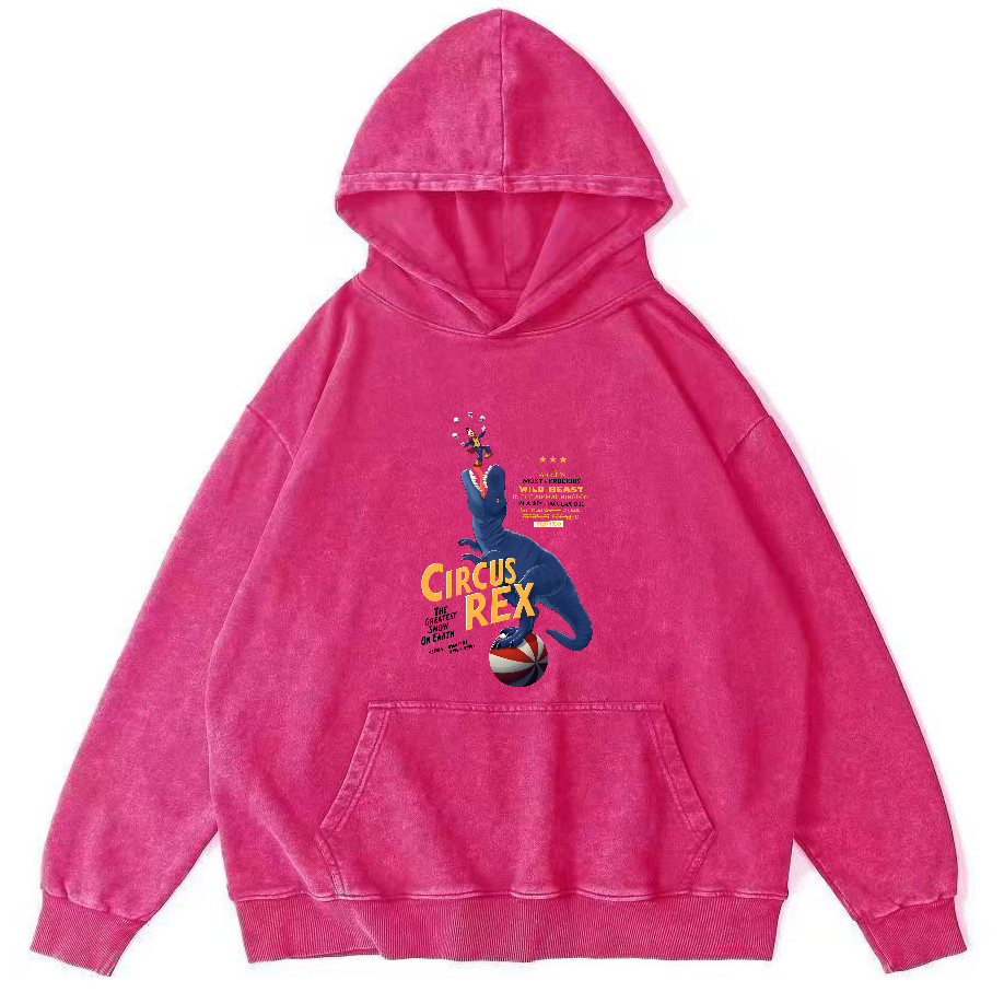 Cartoon Dinosaur Japanese Washed Hoodie-Zazasy