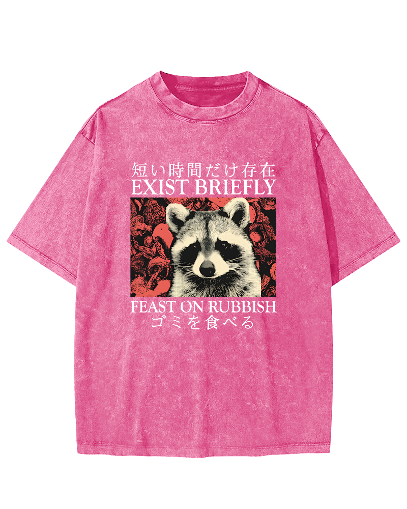 Cute Raccoon Japanese Text Vintage Distressed T-shirt-Zazasy