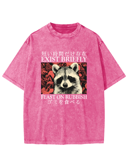 Cute Raccoon Japanese Text Vintage Distressed T-shirt-Zazasy