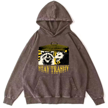 Raccoons and Mice Vintage Distressed Hoodie-Zazasy