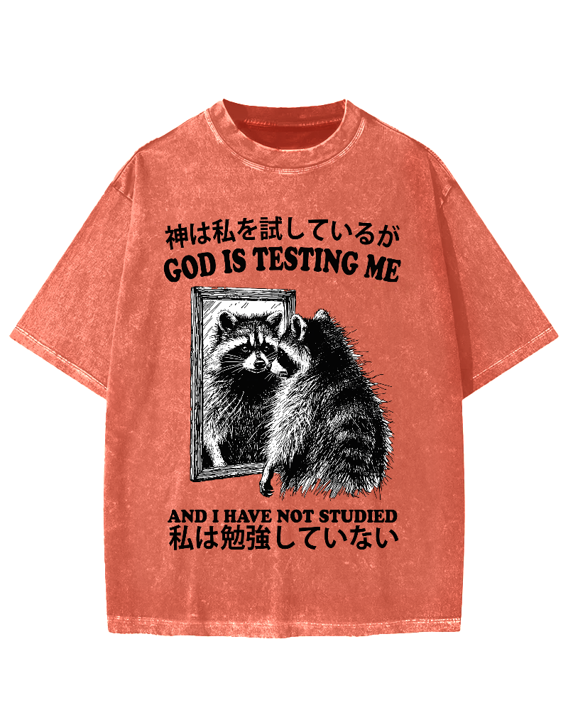 God is testing me Raccoon Vintage Washed T-shirt