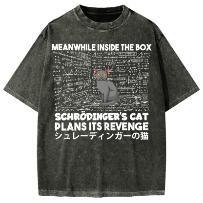Schrödinger's Cat Escape Plan Japanese Style Funny Vintage Washed T-shirt