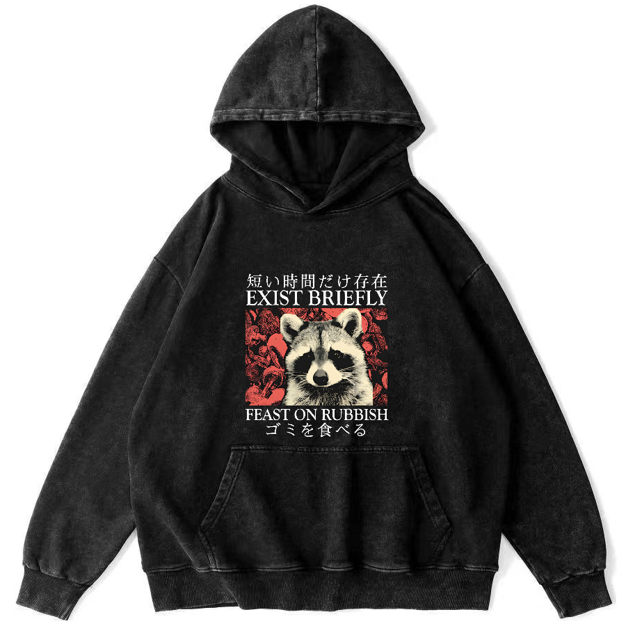 Retro Raccoon Pattern Japanese Style Vintage Distressed Hoodie-Zazasy