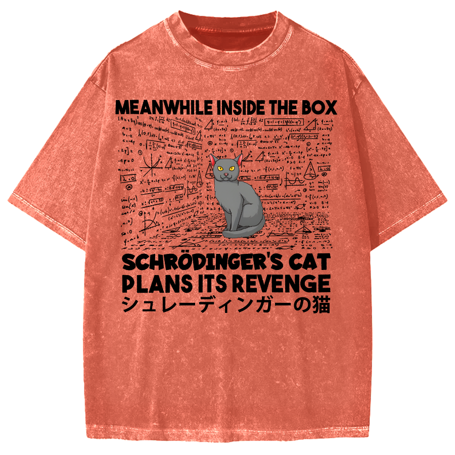 Schrödinger's Cat Escape Plan Japanese Style Funny Vintage Washed T-shirt