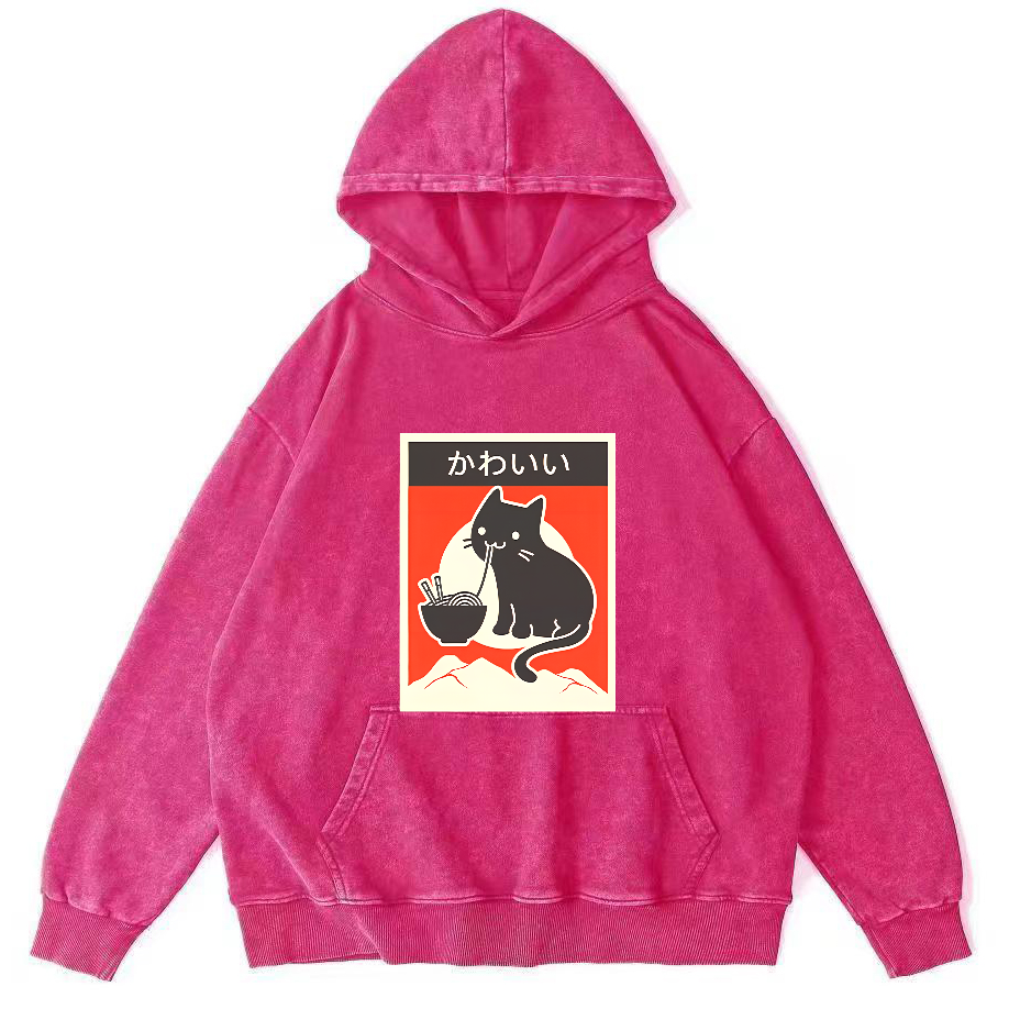 Noodle Loving Cat Patterned Washed Hoodie-Zazasy