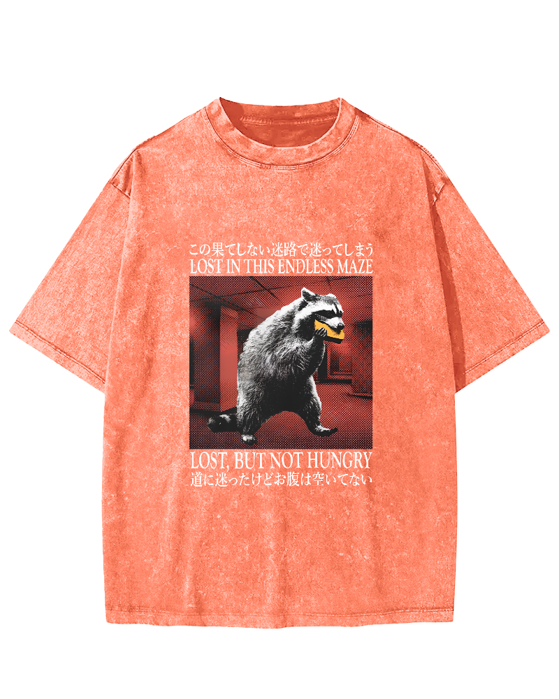 Retro Raccoon Pattern Japanese Style Vintage Distressed T-shirt-Zazasy