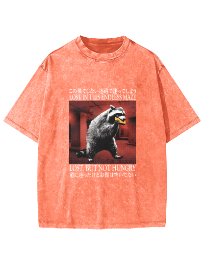 Retro Raccoon Pattern Japanese Style Vintage Distressed T-shirt-Zazasy