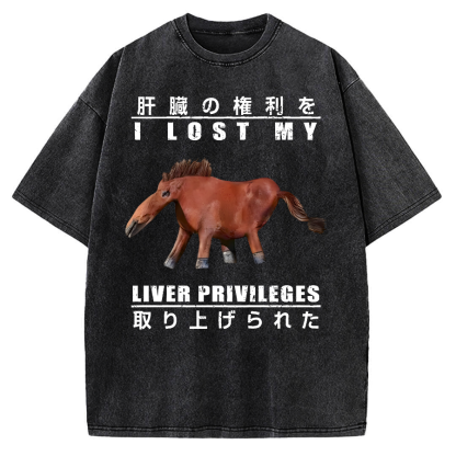 I Lost My Liver Privileges Vintage Washed T-shirt