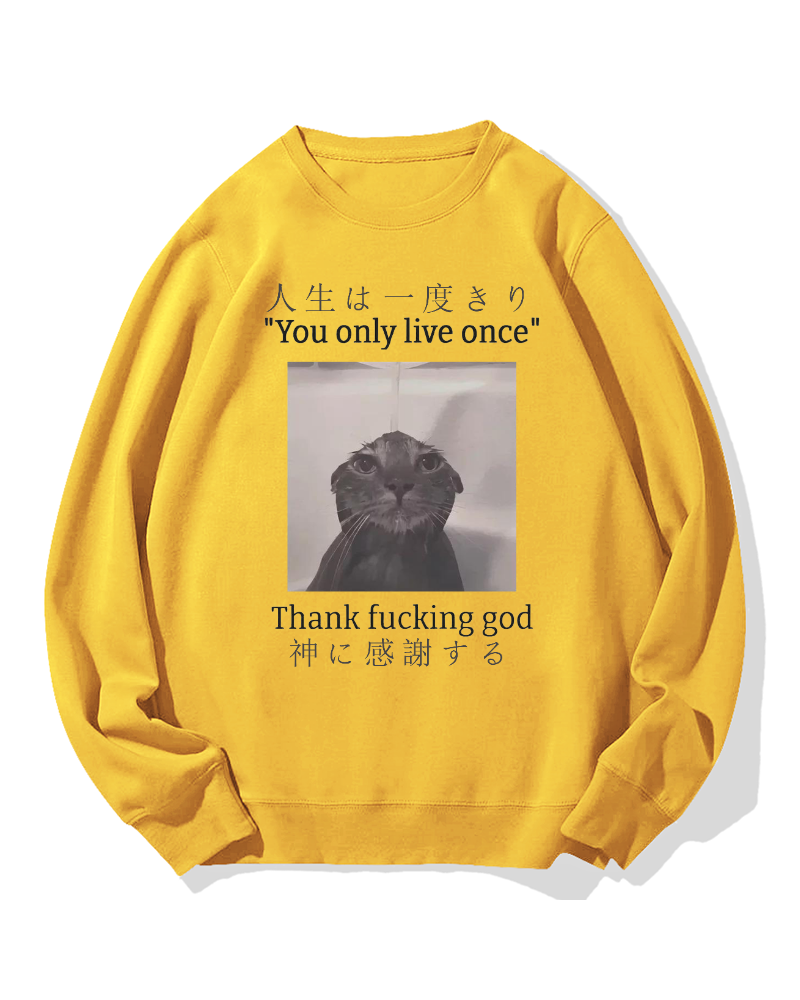 Funny Meme Cat Cotton Sweatshirt