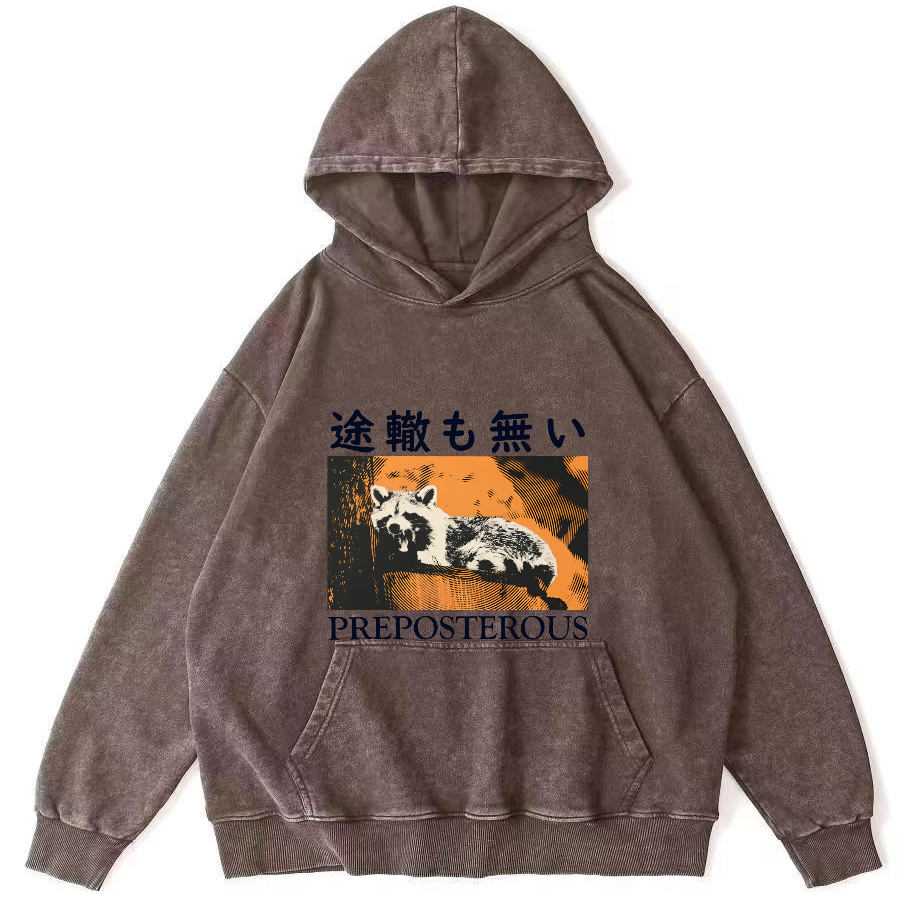 Lazy Raccoon Japanese Vintage Distressed Hoodie-Zazasy