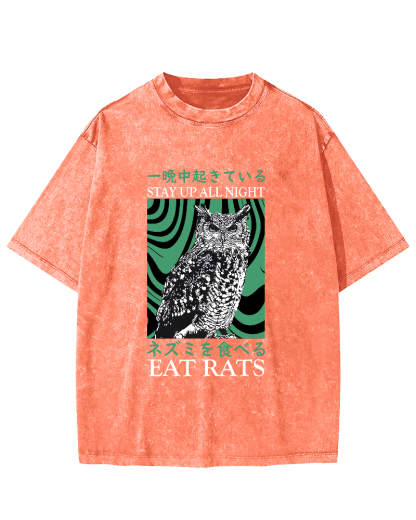 Retro Japanese Owl Vintage Distressed T-shirt-Zazasy