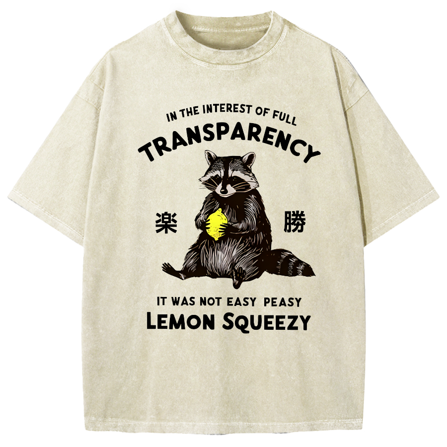 Raccoon Holding A Lemon Vintage Washed T-shirt