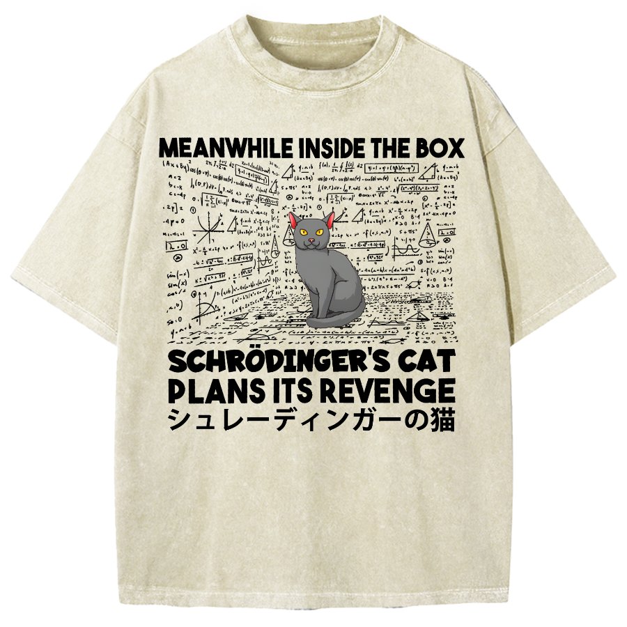 Schrödinger's Cat Escape Plan Japanese Style Funny Vintage Washed T-shirt