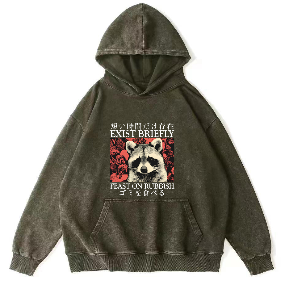 Retro Raccoon Pattern Japanese Style Vintage Distressed Hoodie-Zazasy