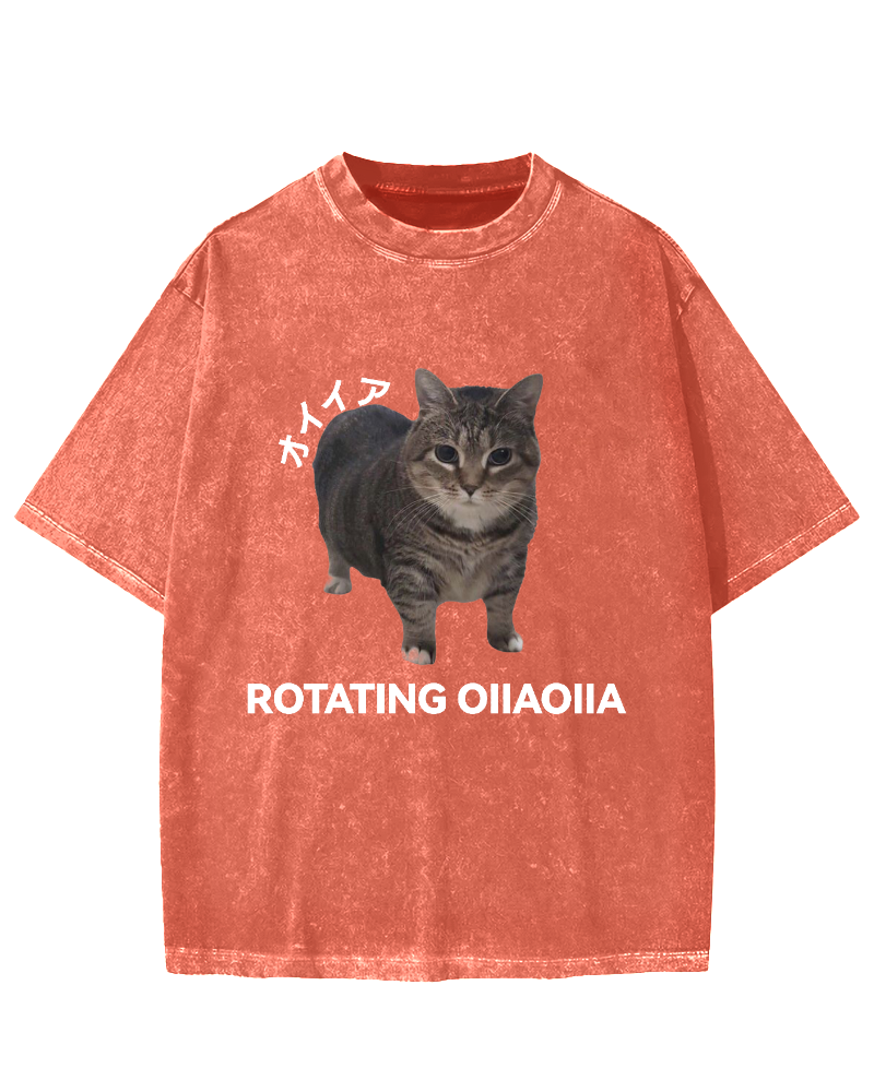 OIIA meme cat Vintage Washed T-shirt