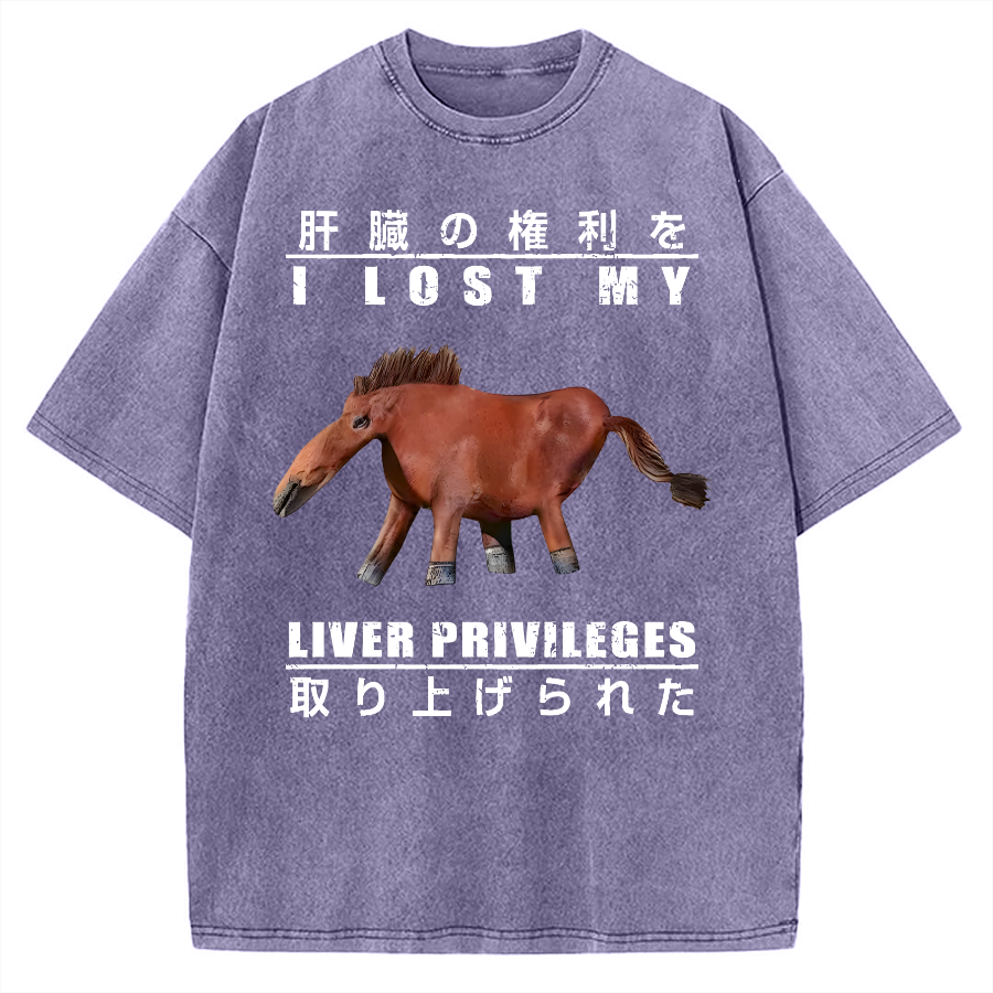 I Lost My Liver Privileges Vintage Washed T-shirt