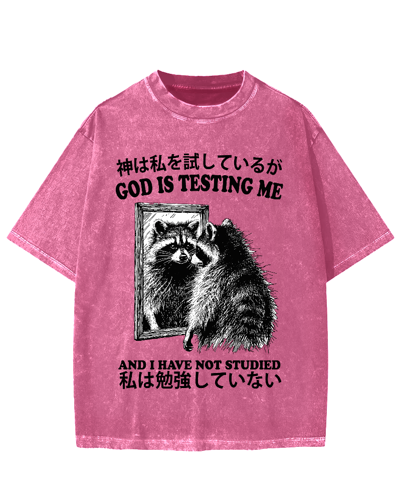 God is testing me Raccoon Vintage Washed T-shirt