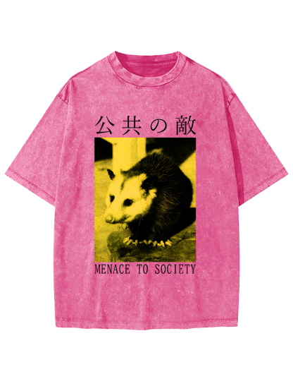 The Opossum in Public Areas Vintage Distressed T-shirt-Zazasy