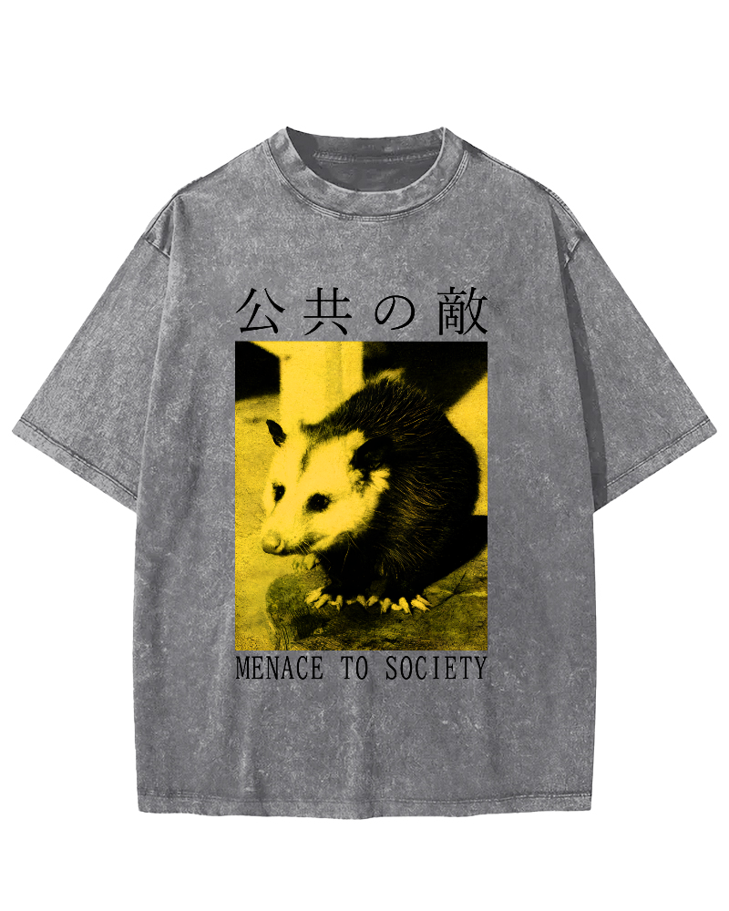 The Opossum in Public Areas Vintage Distressed T-shirt-Zazasy