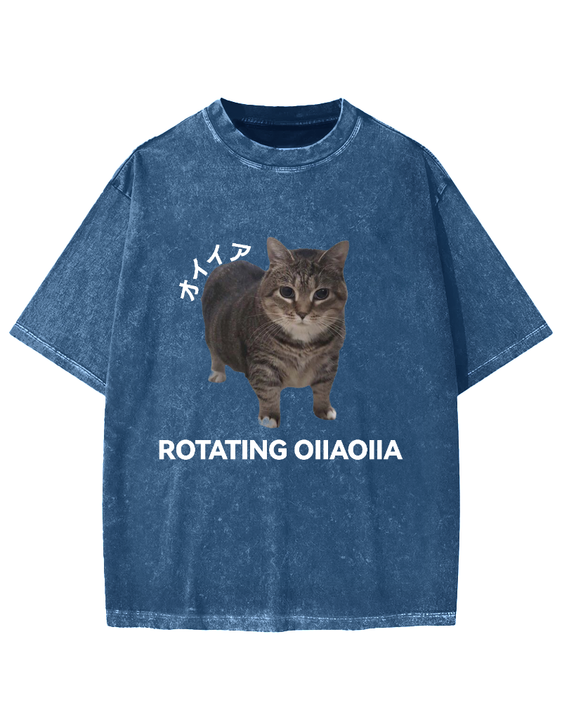 OIIA meme cat Vintage Washed T-shirt
