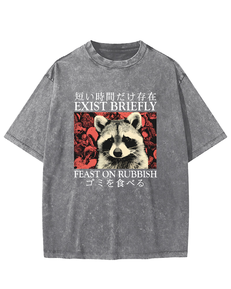 Cute Raccoon Japanese Text Vintage Distressed T-shirt-Zazasy