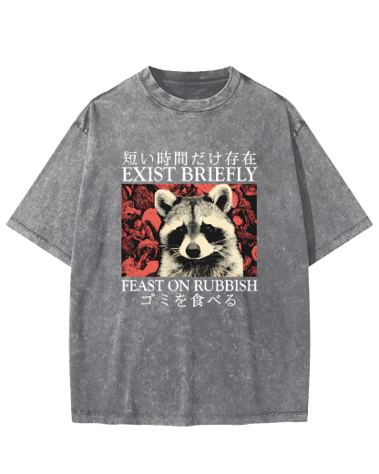 Cute Raccoon Japanese Text Vintage Distressed T-shirt-Zazasy