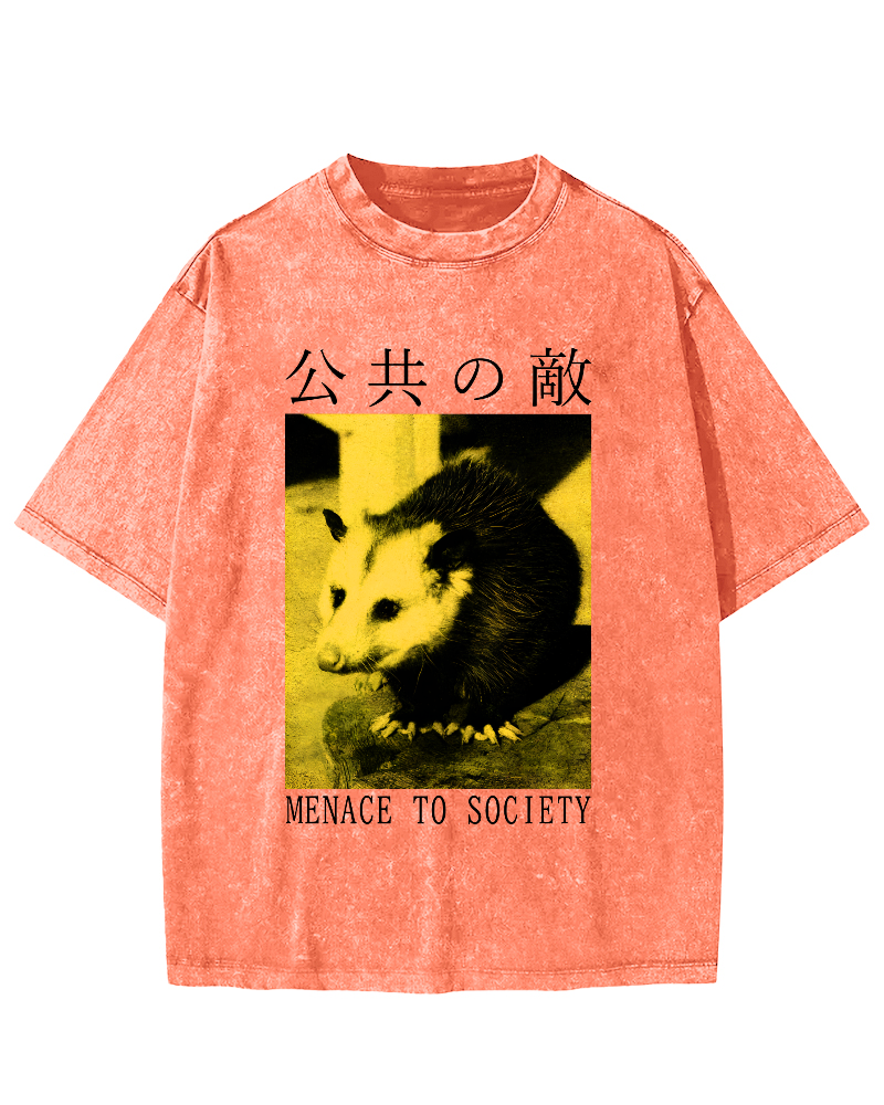 The Opossum in Public Areas Vintage Distressed T-shirt-Zazasy