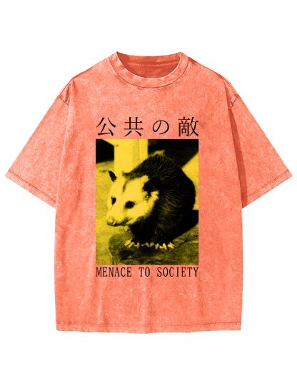 The Opossum in Public Areas Vintage Distressed T-shirt-Zazasy