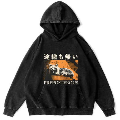 Lazy Raccoon Japanese Vintage Distressed Hoodie-Zazasy