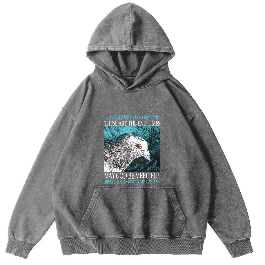 Retro Pigeon Vintage Distressed Hoodie-Zazasy