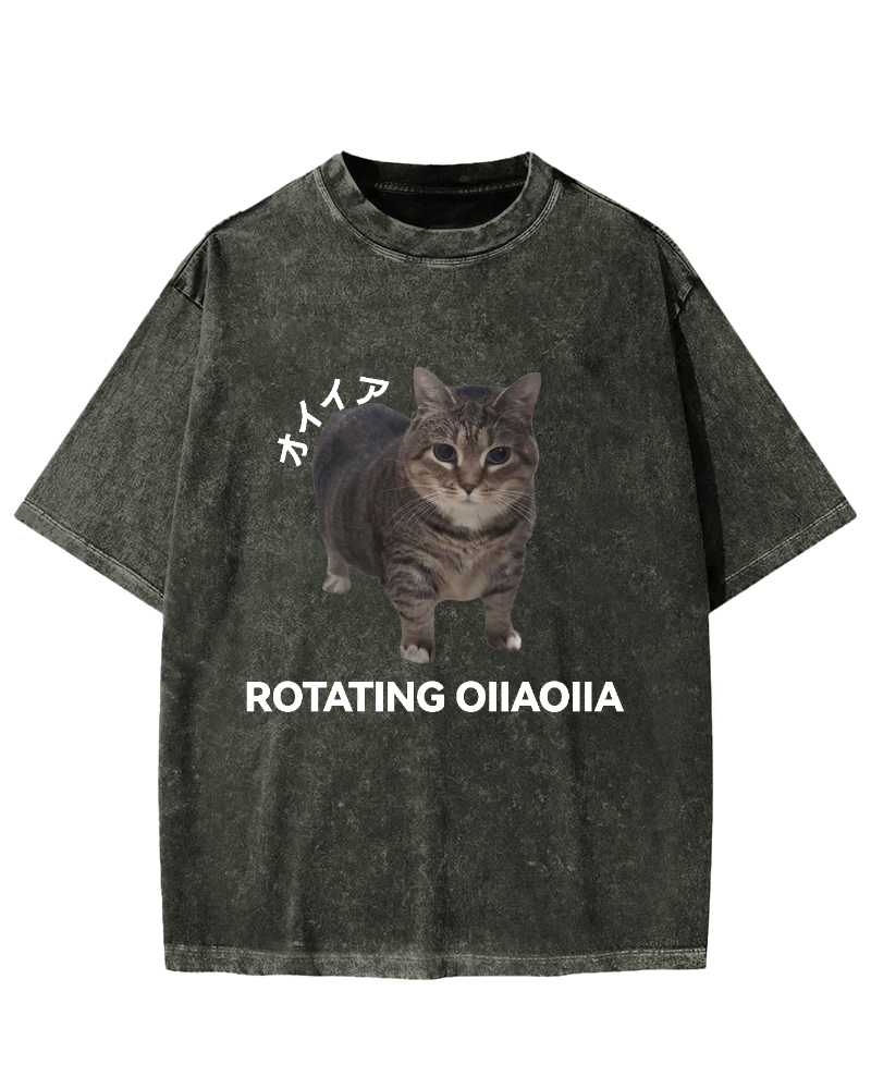 OIIA meme cat Vintage Washed T-shirt