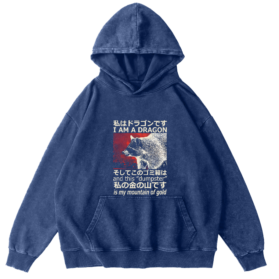 Raccoon Japanese washed hoodie-Zazasy