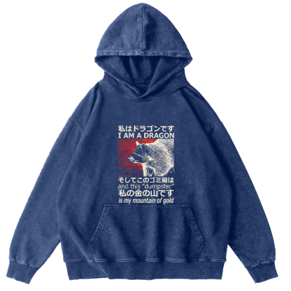 Raccoon Japanese washed hoodie-Zazasy