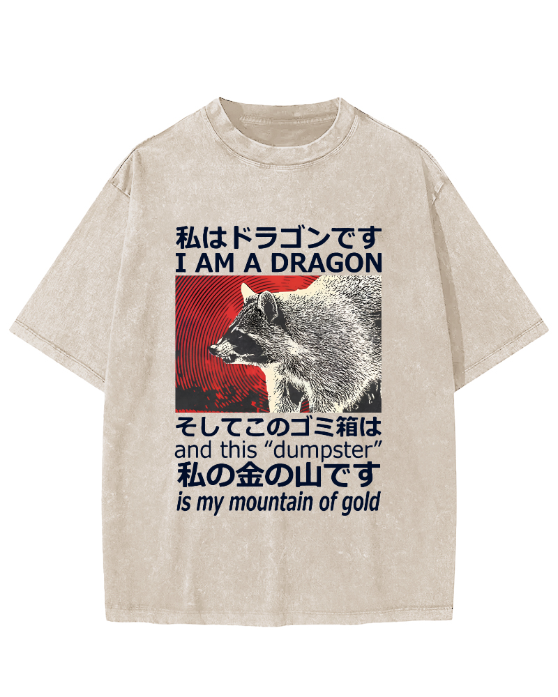Dragon Raccoon Japanese Vintage Washed T-shirt-Zazasy