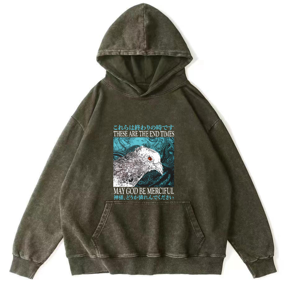 Retro Pigeon Vintage Distressed Hoodie-Zazasy