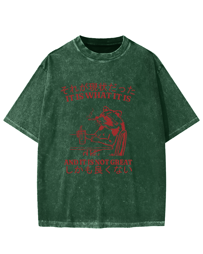 It is what it is,and it is not great Vintage Washed T-shirt