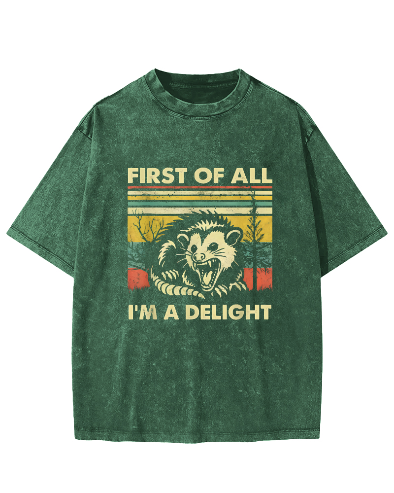 First Of All I'm A Delight Vintage Distressed T-shirt-Zazasy