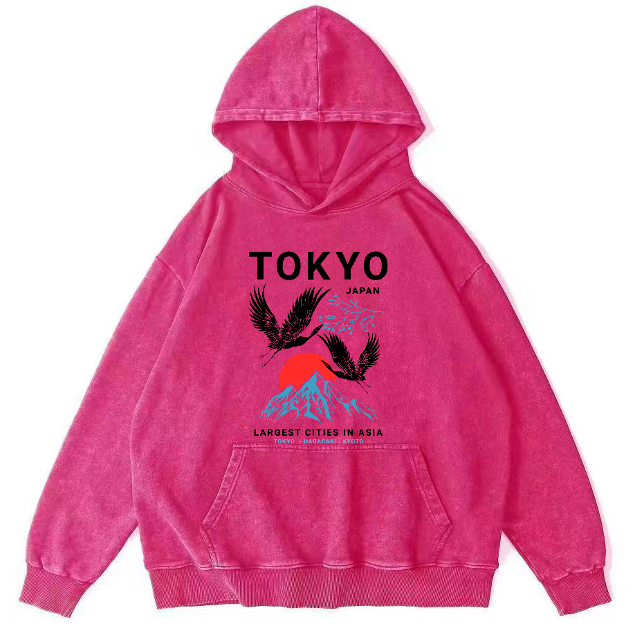 Tokyo Flying Crane Vintage Distressed Hoodie-Zazasy